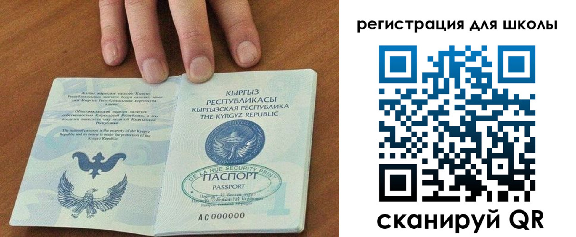 временная регистрация 2025 в Палласовке